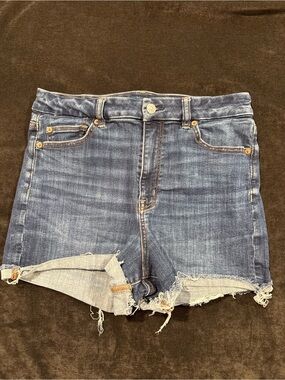 American Eagle Outfitters Distressed Blue Denim Cutoff Shorts